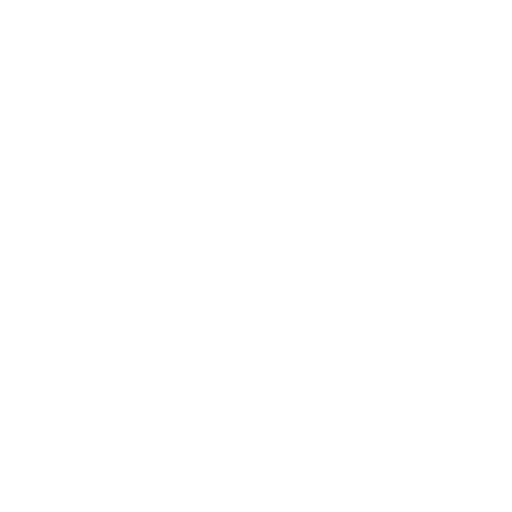 Seguridad <br>(OHS)